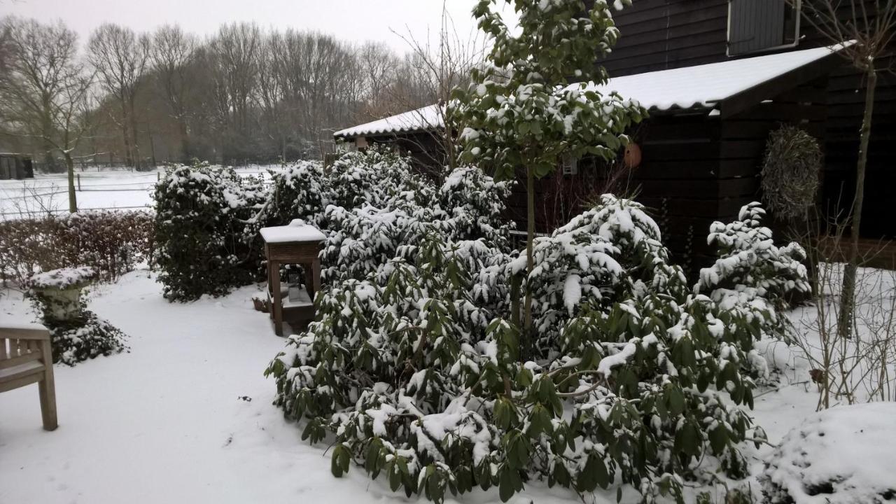 Hoeve Den Anholt Villa Ruinen Exterior photo